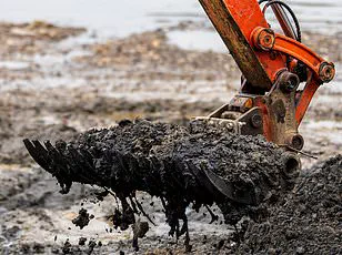 Regulatory Failures Expose Public Health Risks as 100-Tonne Fatberg Unveils Crisis in Urban Waste Management