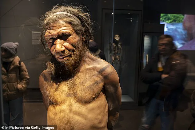 Revisiting the Linear Narrative of Human Evolution: A Deeper Look at Complexity