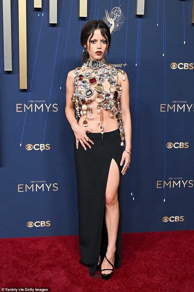 Secret Styles and Silent Statements: The Hidden Messages Only the Sharpest Eyes Catch at the Emmys