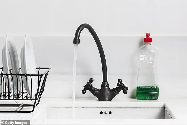 Silent Epidemic: Kitchen Sinks Harbor 100,000x More Germs Than Bathroom Sinks, Expert Warns