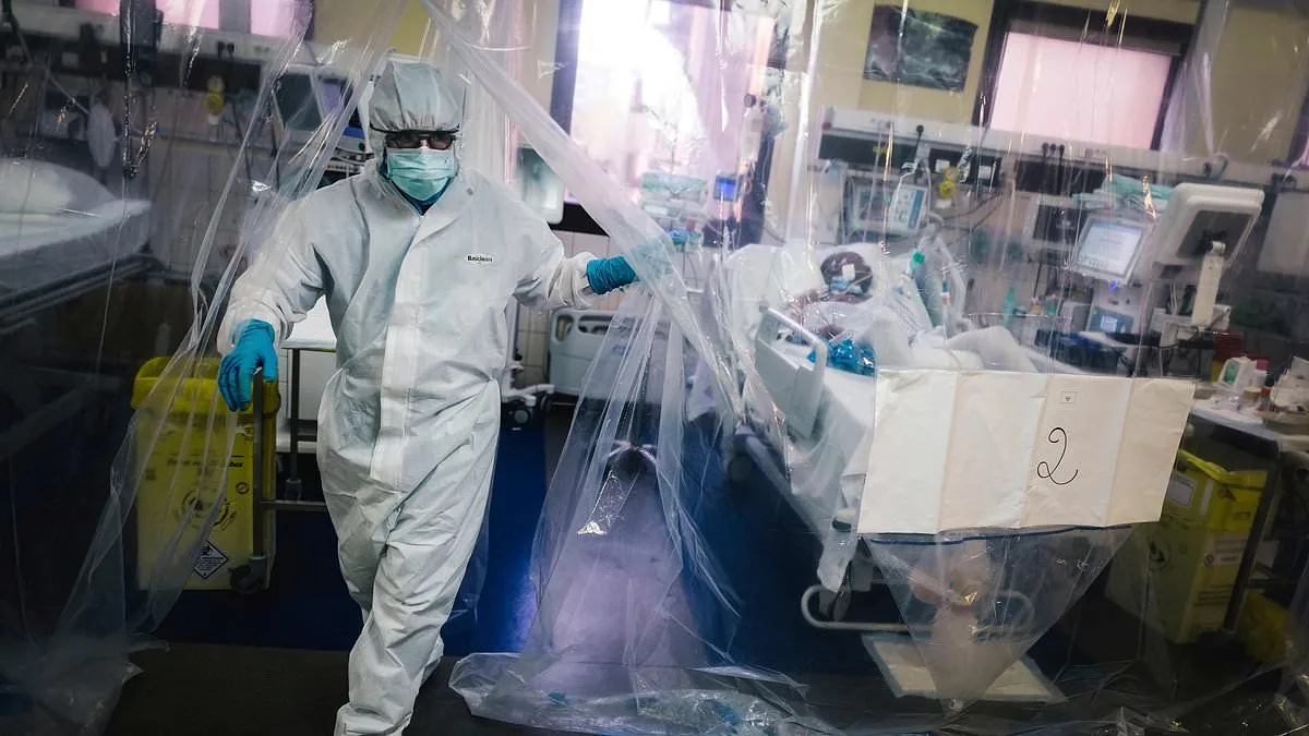 Silent Threats: Influenza D and Canine Coronavirus Emerge as Pandemic Risks, CDC Warns