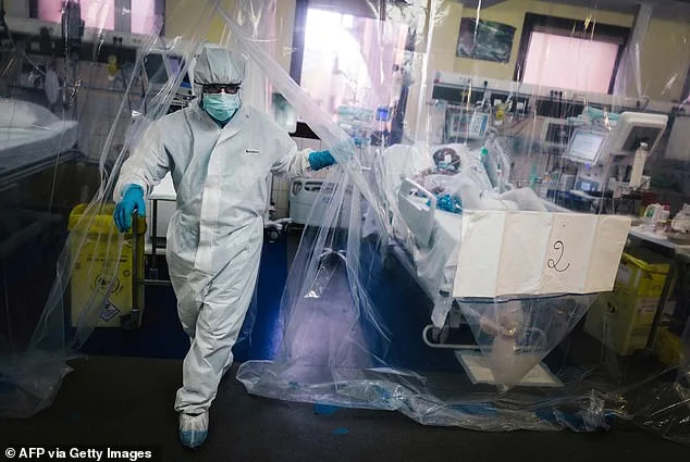 Silent Threats: Influenza D and Canine Coronavirus Emerge as Pandemic Risks, CDC Warns