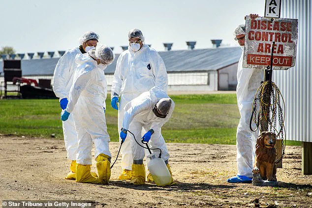 Silent Threats: Influenza D and Canine Coronavirus Emerge as Pandemic Risks, CDC Warns
