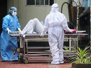 Silent Threats: Influenza D and Canine Coronavirus Emerge as Pandemic Risks, CDC Warns