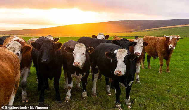 Study Challenges Assumptions on Meat Consumption's Environmental Impact