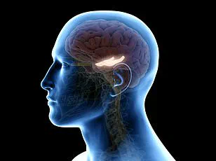 Study Reveals Running Alters Time Perception During Exercise