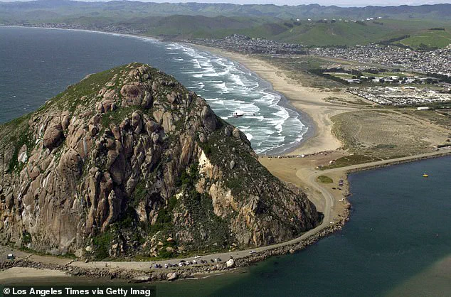 Surfer Testifies in Court: Paddleboarder Faces Felony Charges After Alleged Underwater Attack in Morro Bay