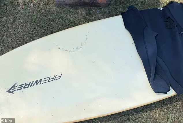 Surge in Shark Attacks Sparks Warnings Along Australian Coastline
