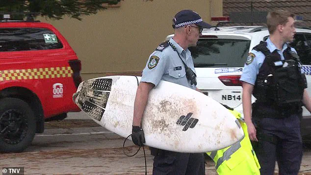 Surge in Shark Attacks Sparks Warnings Along Australian Coastline