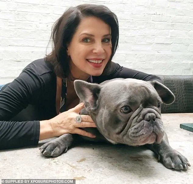 Surge in Surgeries for Flat-Faced Dog Breeds Sparks Veterinary Crisis as Demand Soars