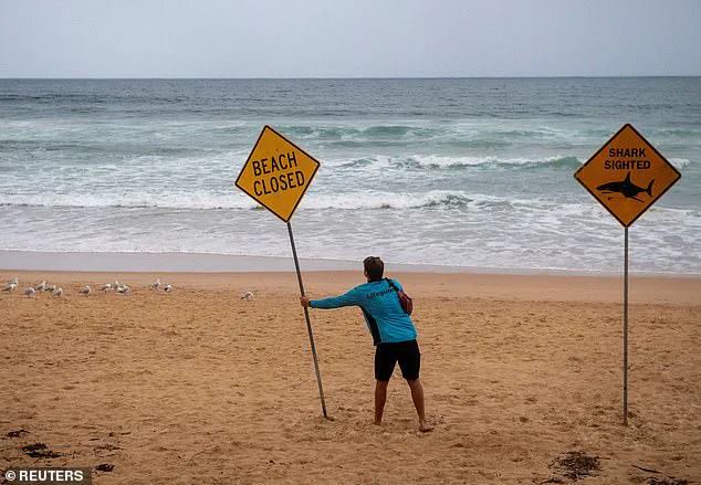 Sydney Beaches on Lockdown After Three Shark Attacks in 26 Hours, as Community Reels from 'Unprecedented' Crisis