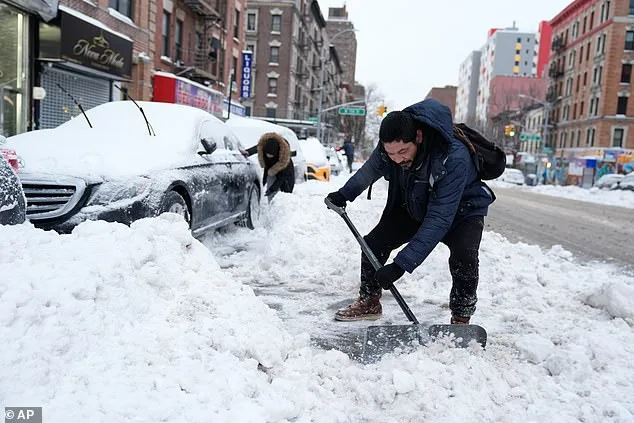 Thawing Snow Unveils Hidden Fungal Allergy Linked to Harsh Winter Conditions