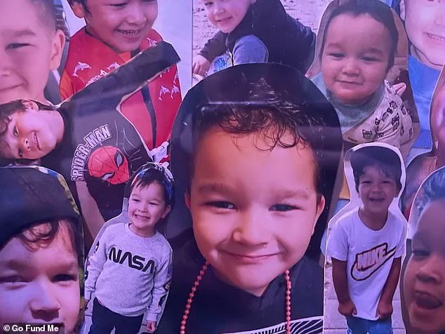 Tragedy and Legal Consequences: Community Confronts Dog Ownership Responsibilities After Fatal Attack on Child