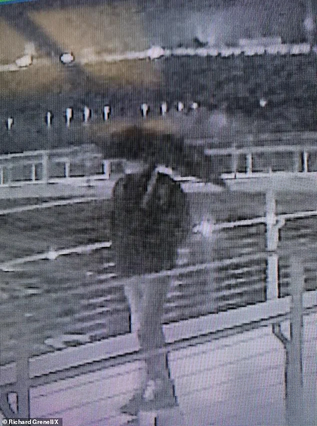Trump-Kennedy Center Vandalism Sparks Political Tensions and Accusations