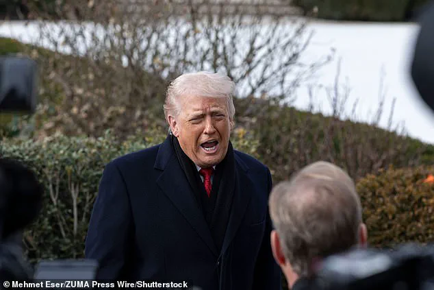 Trump's Tariff Threat to NATO Allies Sparks International Criticism