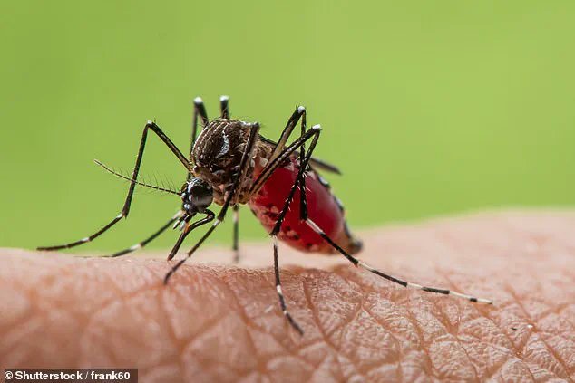 Urgent Alert: Disease-Carrying Mosquitoes Detected in Britain, Experts Warn of Emerging Health Threat