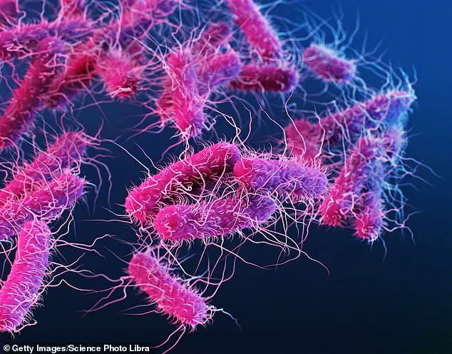 Urgent Recall of Eggs Linked to Salmonella Outbreak Sparks Public Health Concerns