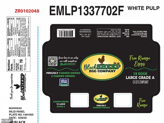 Urgent Recall of Eggs Linked to Salmonella Outbreak Sparks Public Health Concerns