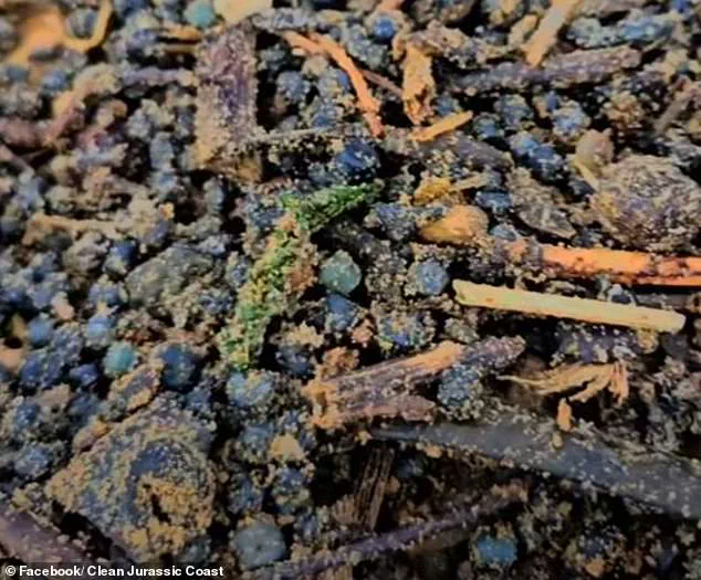 Urgent Warning: Toxic Plastic Pellets Threaten Pets, Wildlife on Camber Sands Beach as Environmental Experts Sound the Alarm
