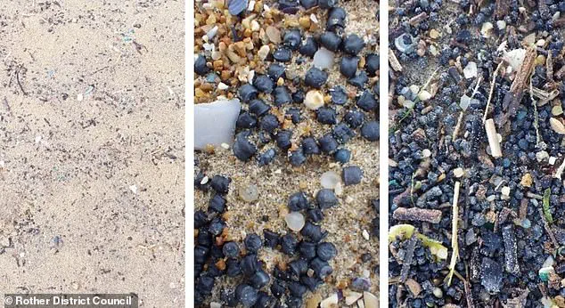 Urgent Warning: Toxic Plastic Pellets Threaten Pets, Wildlife on Camber Sands Beach as Environmental Experts Sound the Alarm