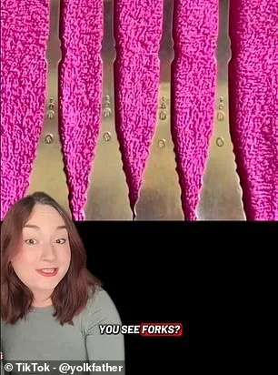 Viral Optical Illusion Divides TikTok Users: Kitchen Tool or Abstract Pink Substance?