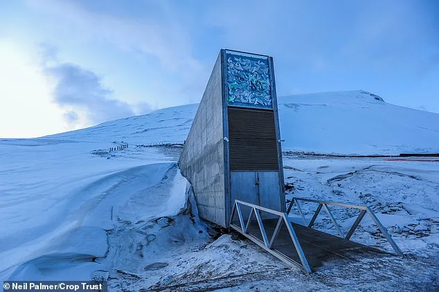 Svalbard Global Seed Vault Bolsters Biodiversity with 7,800 New Seed Varieties, Bringing Total to Over 1.3 Million