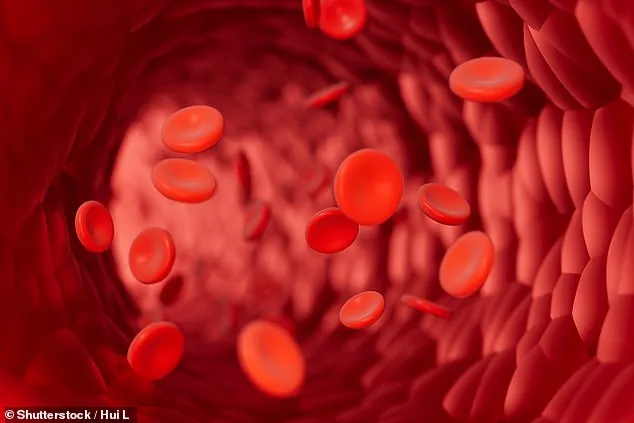 Noah's Eight Survivors and the Eight Blood Types: A Controversial Theory Bridging Myth and Science