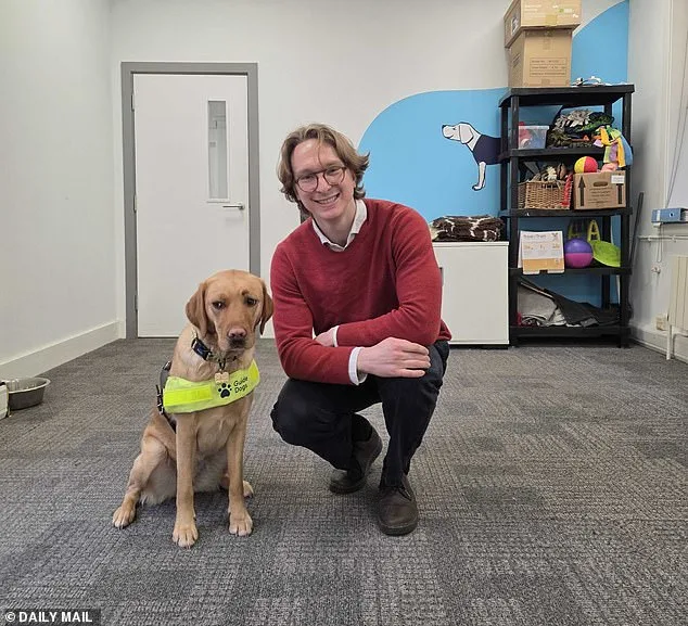 The Art and Science of Guide Dog Matchmaking: How Ellie Brown Finds Perfect Pairs for Dogs and Humans