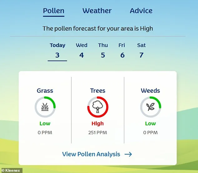 After 50 Days of Rain, UK Faces 'Pollen Bomb' as Hay Fever Surges