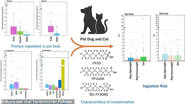 Toxic 'Forever' Chemicals in Wet Pet Foods Pose Cancer Risks to Dogs and Cats