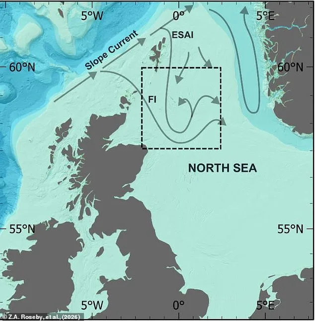Scampi and Chips at Risk as Scientists Warn of Hidden Climate Cost in British Seafood Staple