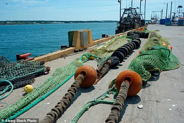 Scampi and Chips at Risk as Scientists Warn of Hidden Climate Cost in British Seafood Staple