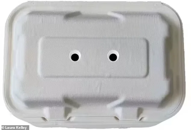 University of Exeter study shows googly eyes can outwit seagulls—here's how