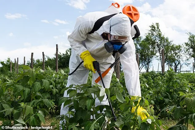 Urgent Recall of Organic Beans by SunRidge Farms Over Toxic Pesticide Contamination
