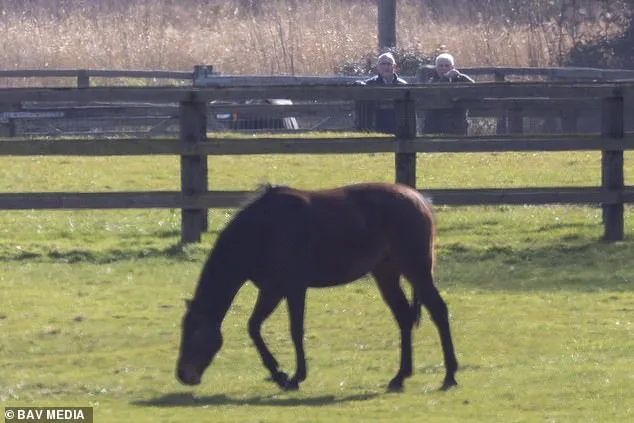 Andrew Mountbatten-Windsor Spotted Defying Alleged Riding Ban Near Norfolk Residence Amid Legal Scrutiny