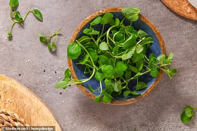 The Surprising Nutritional Powerhouse Behind Watercress's 'Healthiest Vegetable' Title