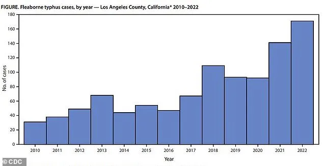Los Angeles County Faces Record Surge in Flea-Borne Typhus, With 90% of Patients Requiring Hospitalization Amid Emerging Hotspots