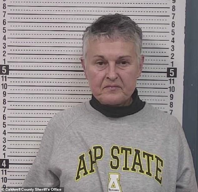 Woman Arrested in North Carolina for Nail Board Attack on Tesla