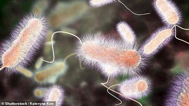 Legionnaires' disease surges across US as heat drives deadly outbreaks.