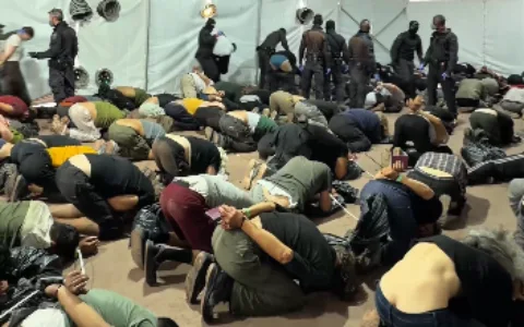 Hundreds of pro-Palestinian activists detained during flotilla interception deported after abuse