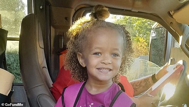 Father Sentenced to Prison for Daughter's Death in Dog Attack